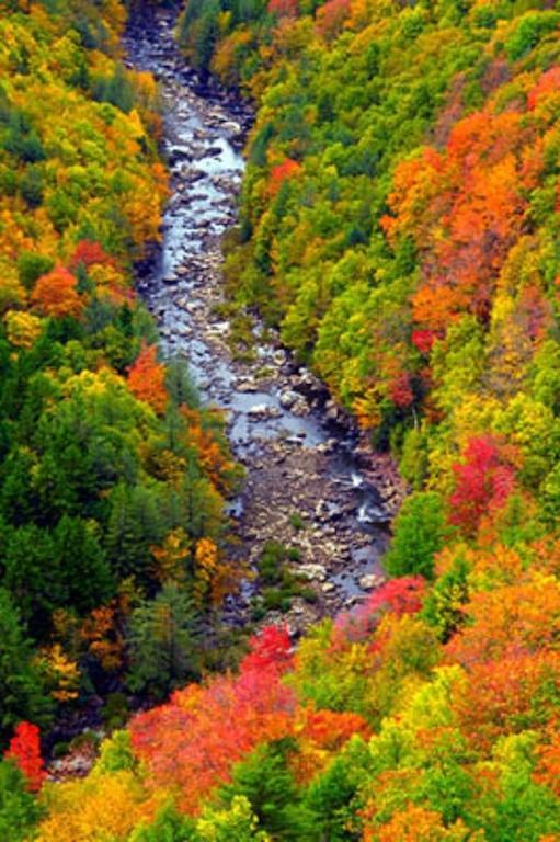 Blackwater Falls State Park Lodge Davis Dış mekan fotoğraf